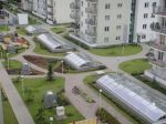 rembielinska_009